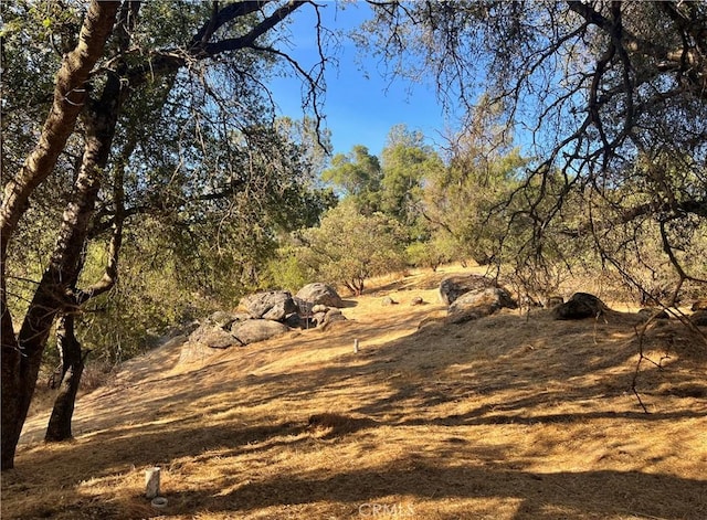 44293 Copper Creek Way, Coarsegold, CA 93614 - view of undeveloped land