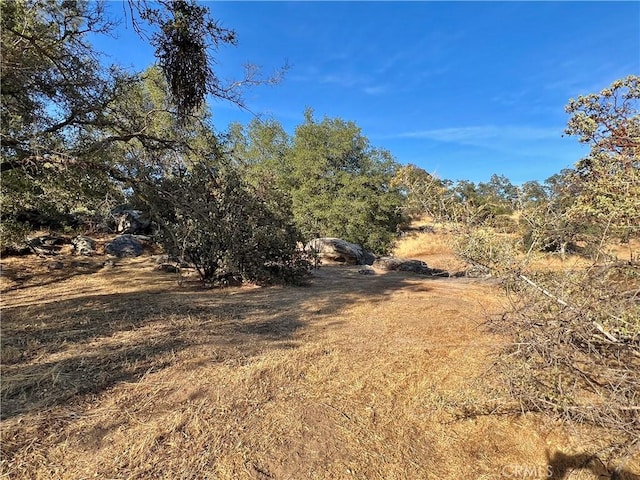 44293 Copper Creek Way, Coarsegold, CA 93614 - view of undeveloped land