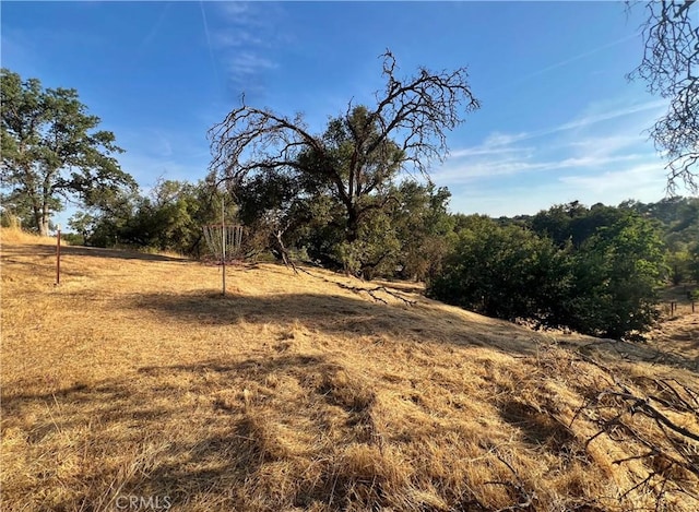 44293 Copper Creek Way, Coarsegold, CA 93614 - view of local wilderness