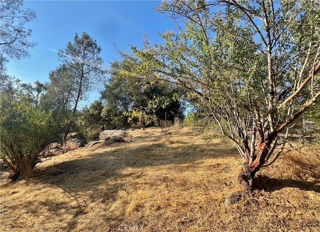 44293 Copper Creek Way, Coarsegold, CA 93614 - view of undeveloped land