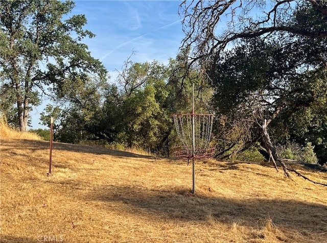 44293 Copper Creek Way, Coarsegold, CA 93614 - view of yard