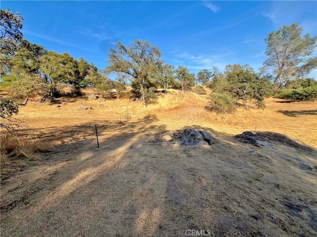 44293 Copper Creek Way, Coarsegold, CA 93614 - view of yard