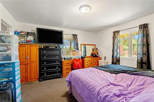 422 Zenon Way, Arroyo Grande, CA 93420 - carpeted bedroom featuring multiple windows