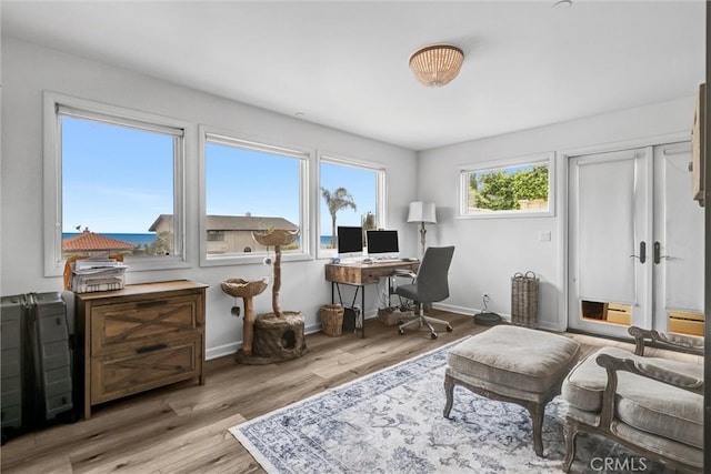 34586 Camino Capistrano Unit A, Dana Point, CA 92624 - office featuring light wood-type flooring and baseboards