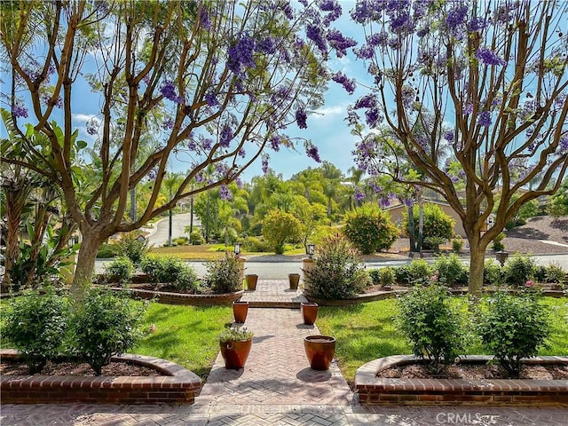14207 Ashton Ln, Riverside, CA 92508 - view of home's community featuring a yard