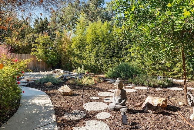 4835 Almidor Ave, Woodland Hills, CA 91364 - view of yard