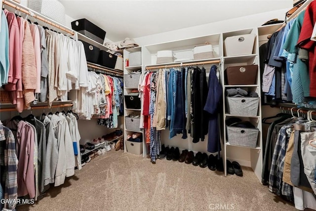 40505 90th St W, Palmdale, CA 93551 - walk in closet with carpet