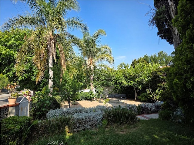 15901 Lassen St, North Hills, CA 91343 - view of yard with a patio