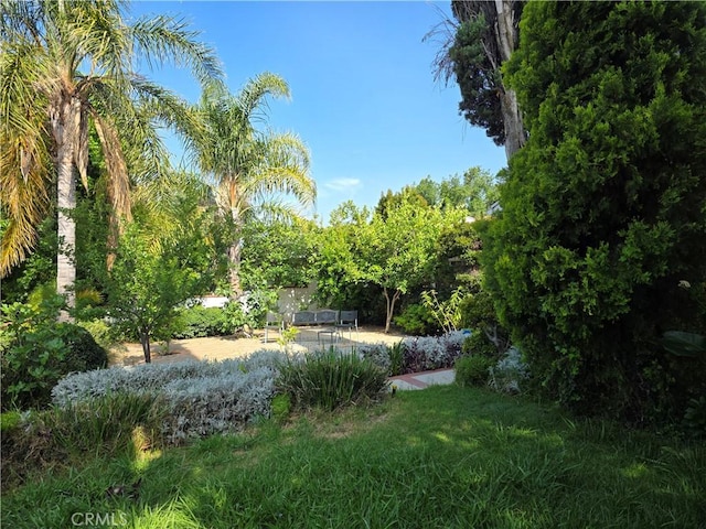 15901 Lassen St, North Hills, CA 91343 - view of yard featuring a patio