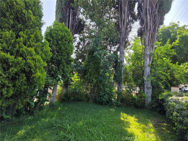 15901 Lassen St, North Hills, CA 91343 - view of grassy yard