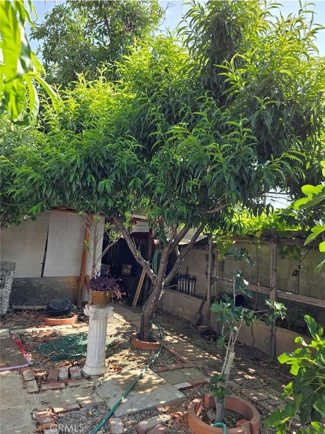 15901 Lassen St, North Hills, CA 91343 - view of fenced backyard