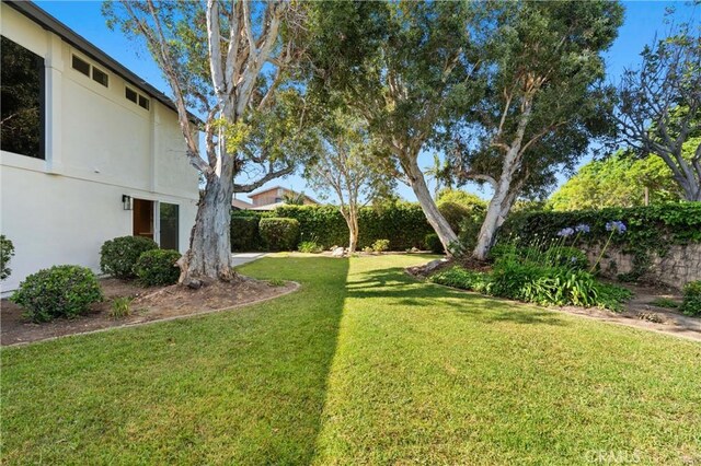 20371 Allport Ln, Huntington Beach, CA 92646 - view of yard