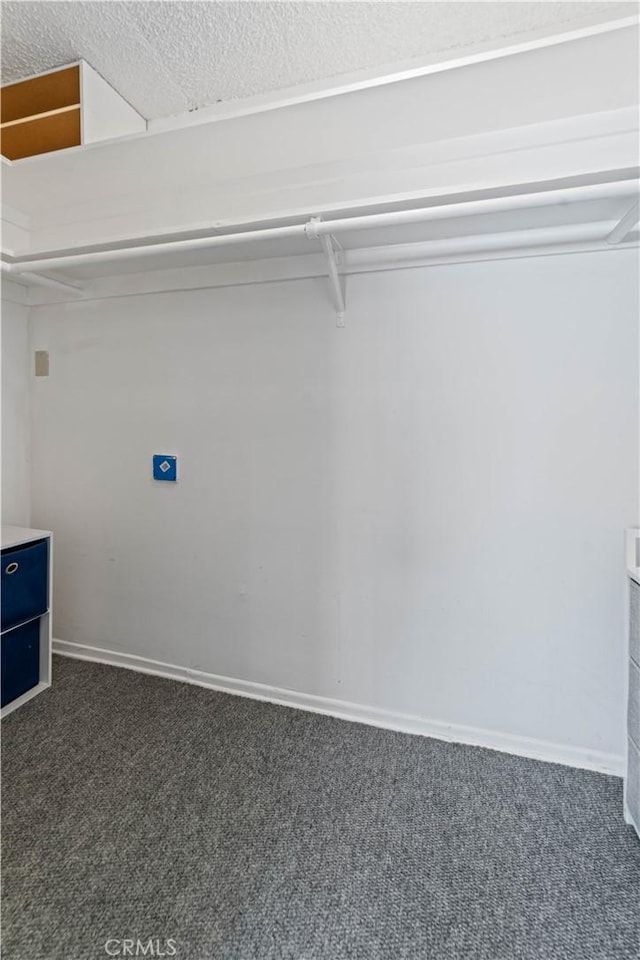 1525 N Hayworth Ave Unit 205, Los Angeles, CA 90046 - spacious closet with dark colored carpet