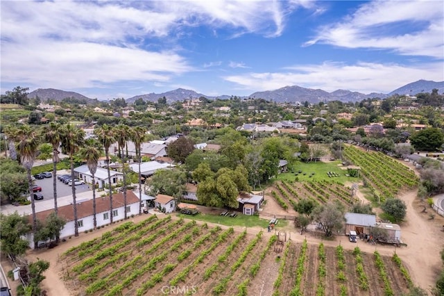 17430 Plaza Otonal, San Diego, CA 92128 - photo 32