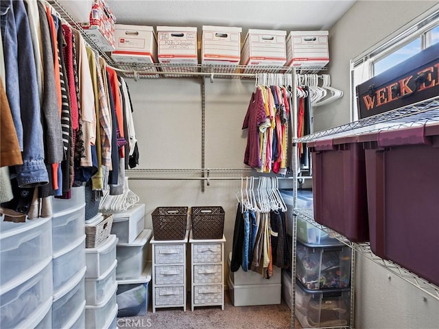 334 N Lomita St, Burbank, CA 91506 - walk in closet featuring carpet floors