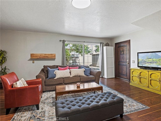 334 N Lomita St, Burbank, CA 91506 - living room with wood finished floors and a textured ceiling