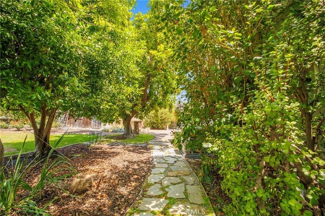 695 W 13th St, Upland, CA 91786 - view of yard