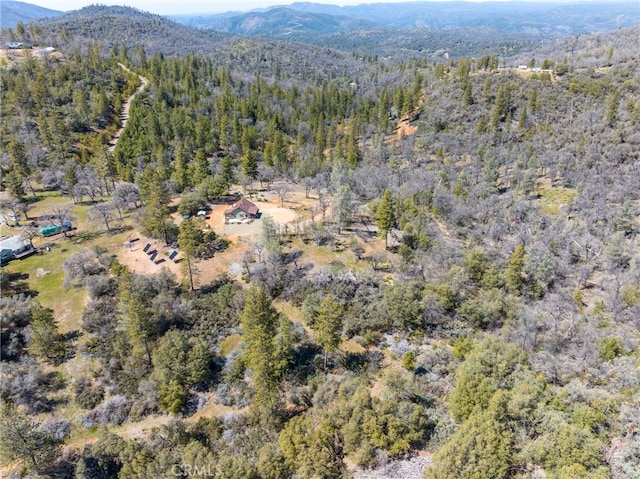 5333 Wilderness View Dr, Mariposa, CA 95338 - photo 27