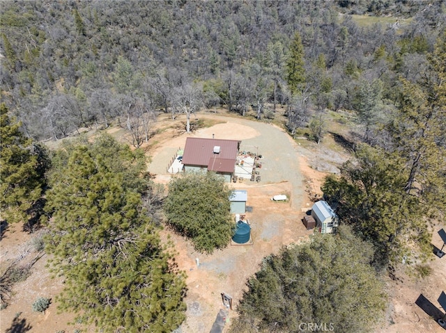 5333 Wilderness View Dr, Mariposa, CA 95338 - photo 31