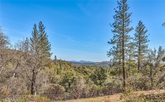 5333 Wilderness View Dr, Mariposa, CA 95338 - photo 33