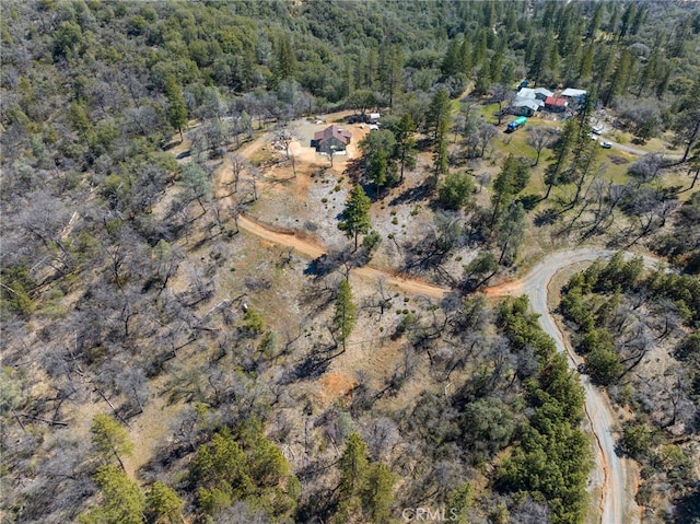 5333 Wilderness View Dr, Mariposa, CA 95338 - photo 28