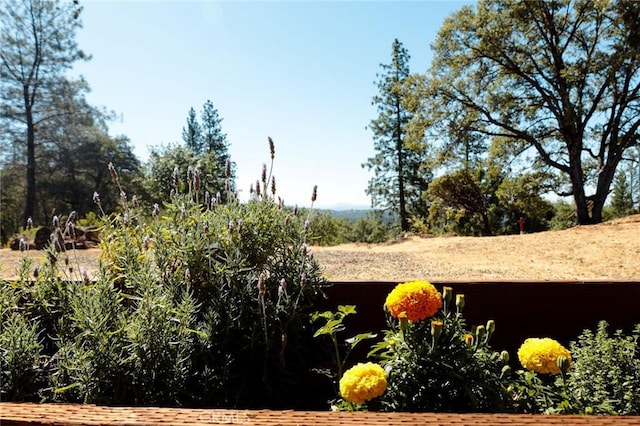 5333 Wilderness View Dr, Mariposa, CA 95338 - photo 35