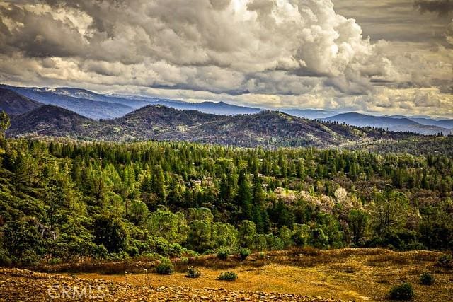 5333 Wilderness View Dr, Mariposa, CA 95338 - photo 43
