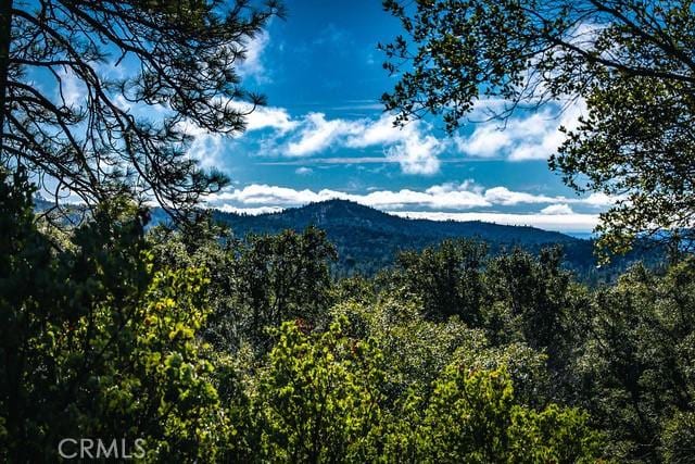 5333 Wilderness View Dr, Mariposa, CA 95338 - photo 38