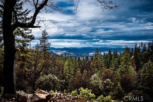 5333 Wilderness View Dr, Mariposa, CA 95338 - photo 52