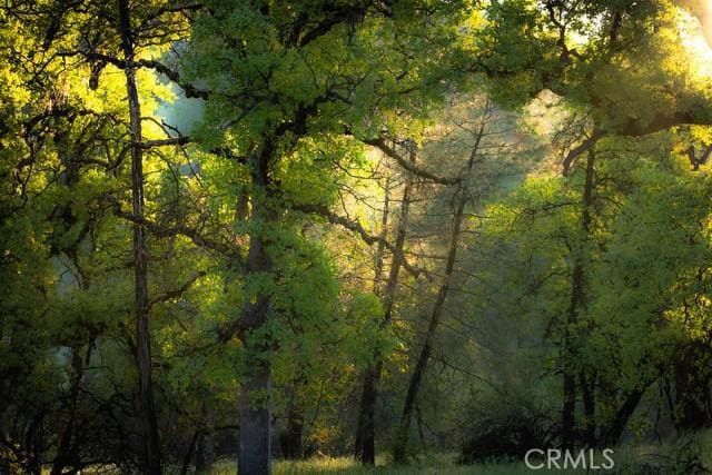 5333 Wilderness View Dr, Mariposa, CA 95338 - photo 50