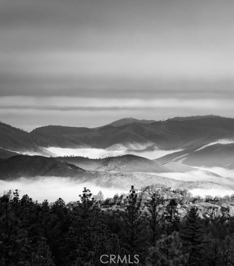 5333 Wilderness View Dr, Mariposa, CA 95338 - photo 66