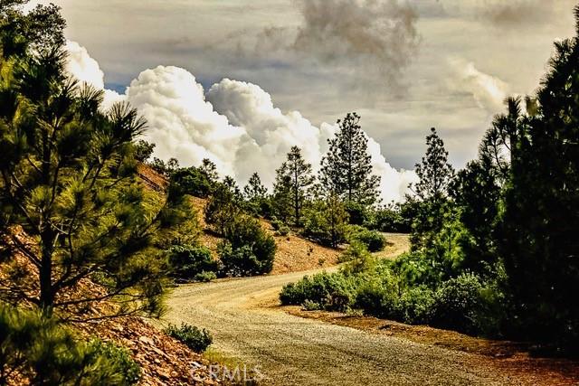 5333 Wilderness View Dr, Mariposa, CA 95338 - photo 51