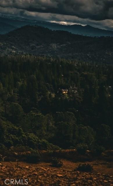 5333 Wilderness View Dr, Mariposa, CA 95338 - photo 68