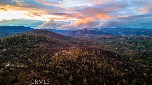 5333 Wilderness View Dr, Mariposa, CA 95338 - photo 53