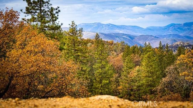 5333 Wilderness View Dr, Mariposa, CA 95338 - photo 58