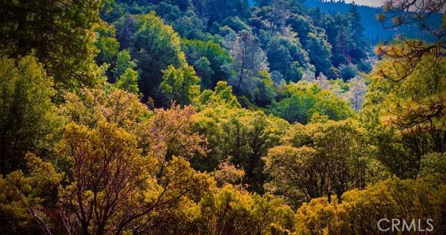 5333 Wilderness View Dr, Mariposa, CA 95338 - photo 55