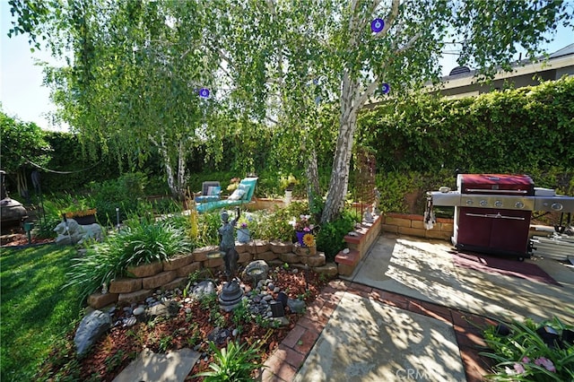 27768 Crookshank Dr, Saugus, CA 91350 - view of patio / terrace with a grill