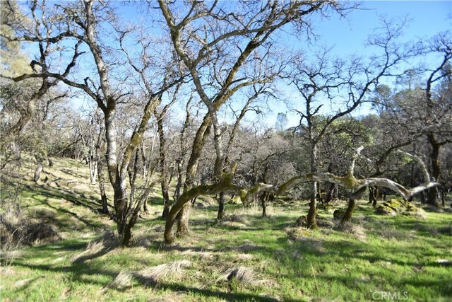 1193 Oregon Gulch Rd, Oroville, CA 95965 - photo 38