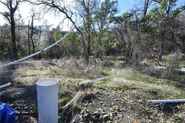 1193 Oregon Gulch Rd, Oroville, CA 95965 - photo 52