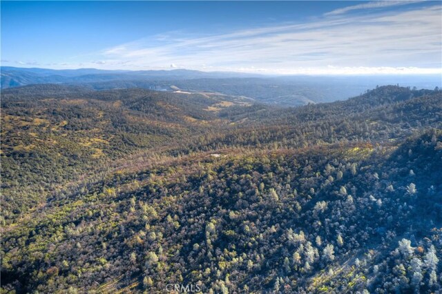1193 Oregon Gulch Rd, Oroville, CA 95965 - photo 29