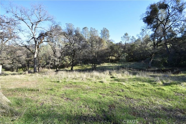 1193 Oregon Gulch Rd, Oroville, CA 95965 - photo 53