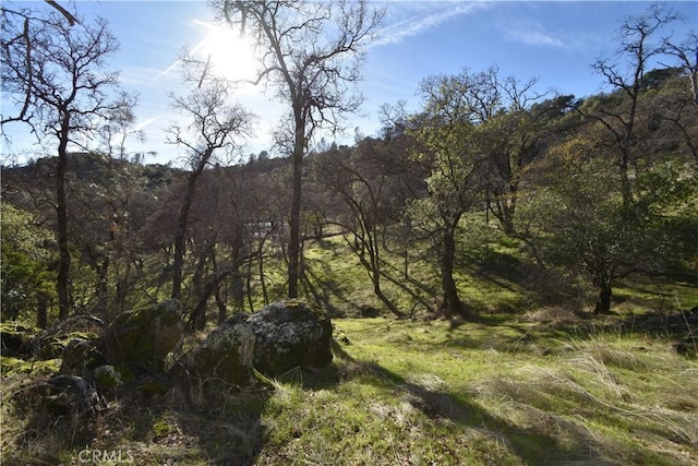 1193 Oregon Gulch Rd, Oroville, CA 95965 - photo 37