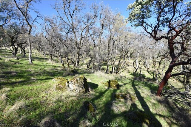 1193 Oregon Gulch Rd, Oroville, CA 95965 - photo 45