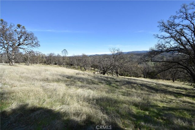 1193 Oregon Gulch Rd, Oroville, CA 95965 - photo 8