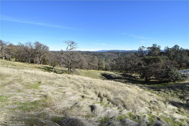 1193 Oregon Gulch Rd, Oroville, CA 95965 - photo 12