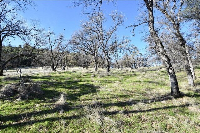 1193 Oregon Gulch Rd, Oroville, CA 95965 - photo 32