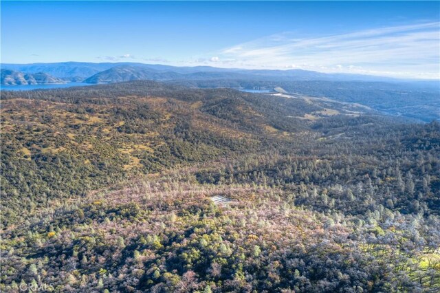 1193 Oregon Gulch Rd, Oroville, CA 95965 - photo 17