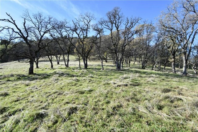 1193 Oregon Gulch Rd, Oroville, CA 95965 - photo 26