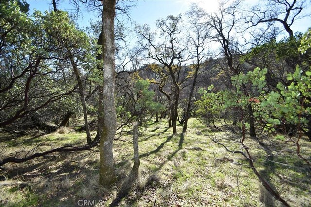 1193 Oregon Gulch Rd, Oroville, CA 95965 - photo 15