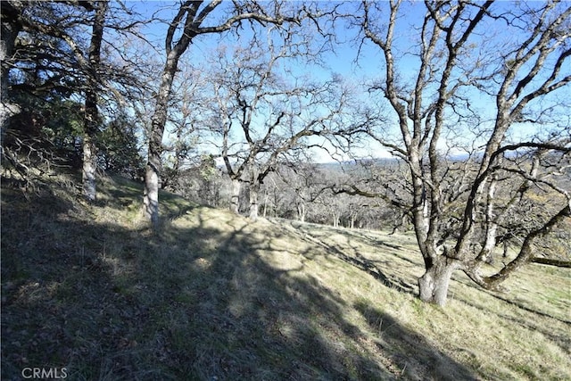 1193 Oregon Gulch Rd, Oroville, CA 95965 - photo 13